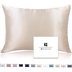 Ravmix Mulberry Pillowcase Hypoallergenic Breathable Review: Pros & Cons