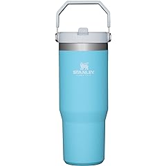 Stanley 10 09993 102 IceFlowTM Straw Tumbler Review: Pros & Cons