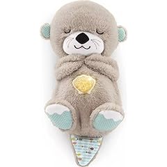 Fisher Price Soothe Snuggle Otter Review: Pros & Cons