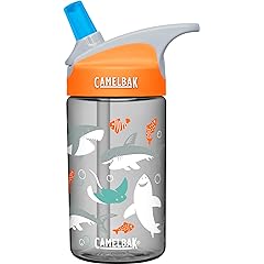 CamelBak Kids Water Bottle Sharks Review: Pros & Cons