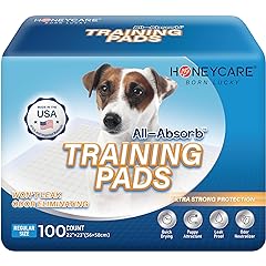 All Absorb Training Pads 22 inch 23 inch Review: Pros & Cons