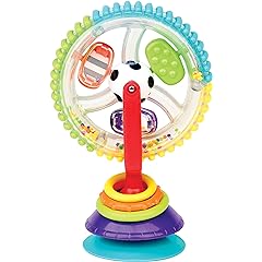 Sassy Wonder Wheel Activity Center Review: Pros & Cons