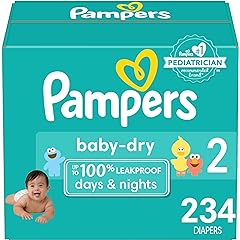 Diapers Size 234 Count Disposable Review: Pros & Cons