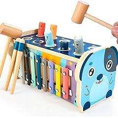 KIDWILL Hammering Pounding Educational Xylophone Review: Pros & Cons