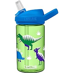 CamelBak Water Bottle Tritan Renew Review: Pros & Cons