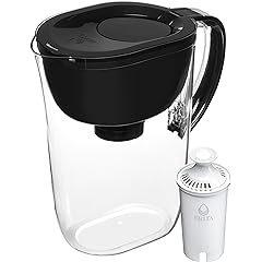 Brita Pitcher Drinking Standard Capacity Review: Pros & Cons